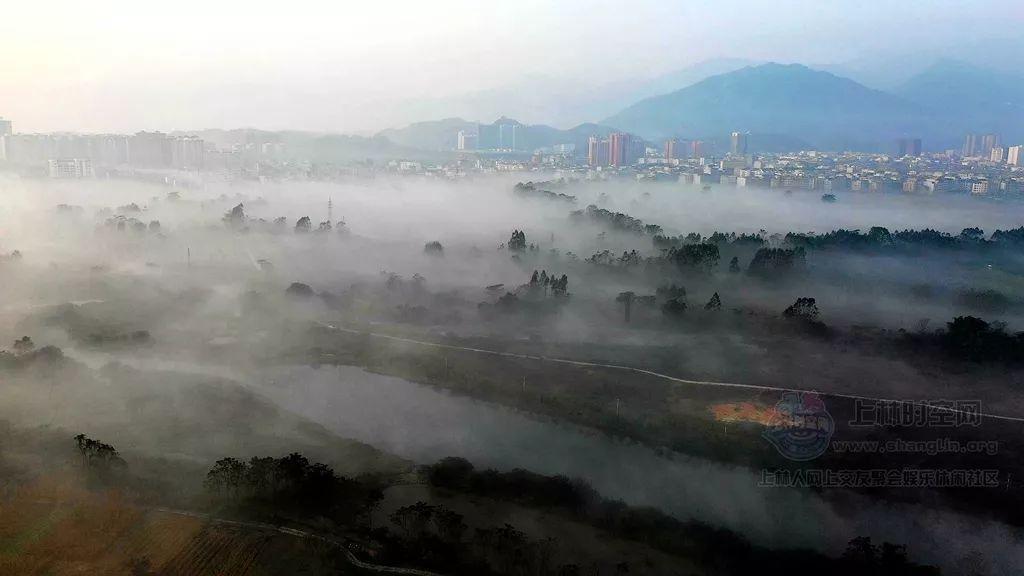 逃离诡异之林