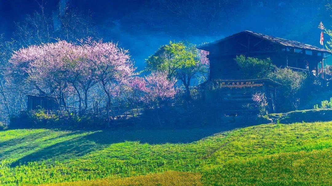 直播预告 | 春节餐桌的新“客”